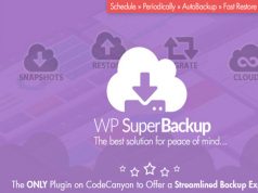 Super Backup, WordPress Plugin, WordPress Clone